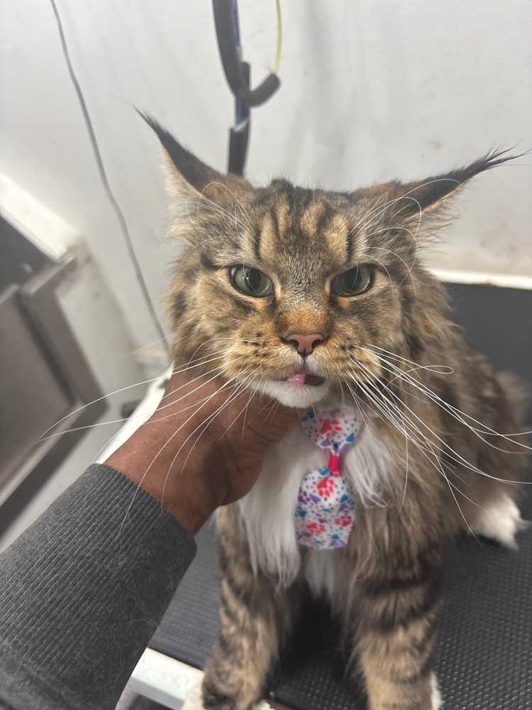Millie