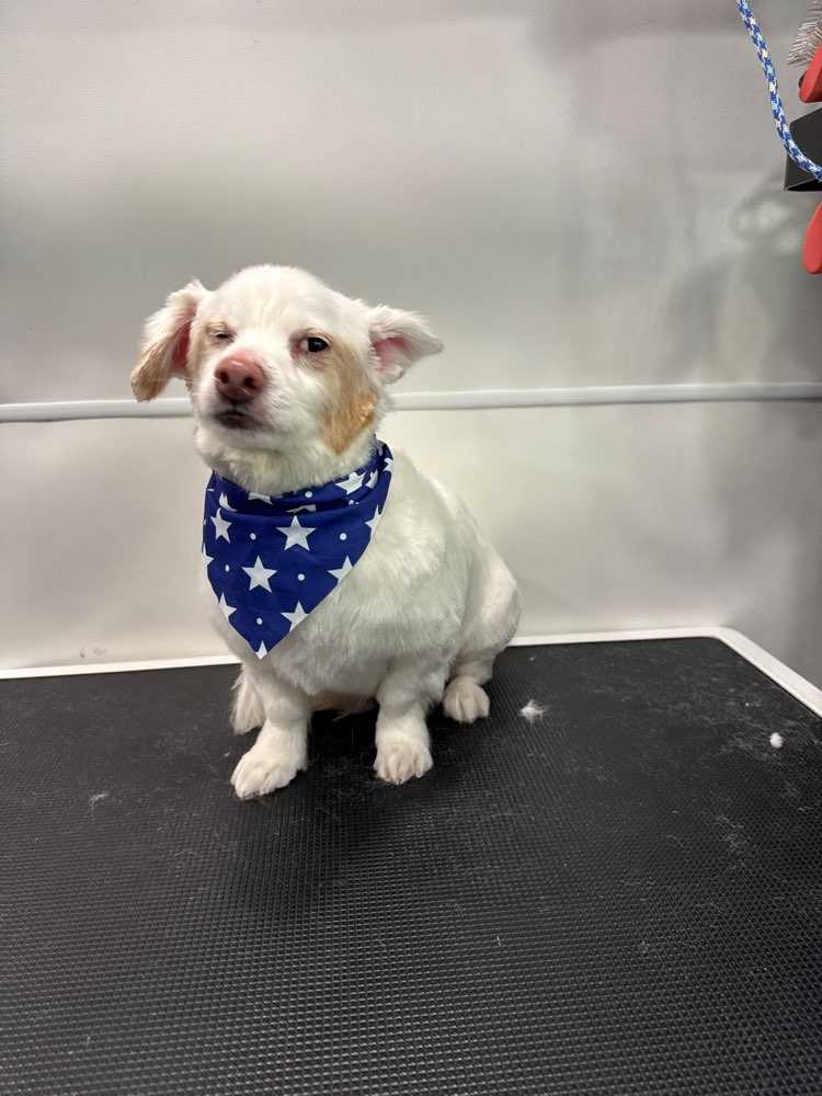 Milo