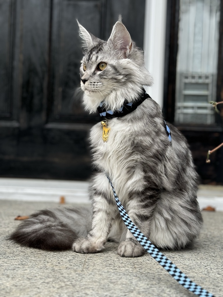 Luna