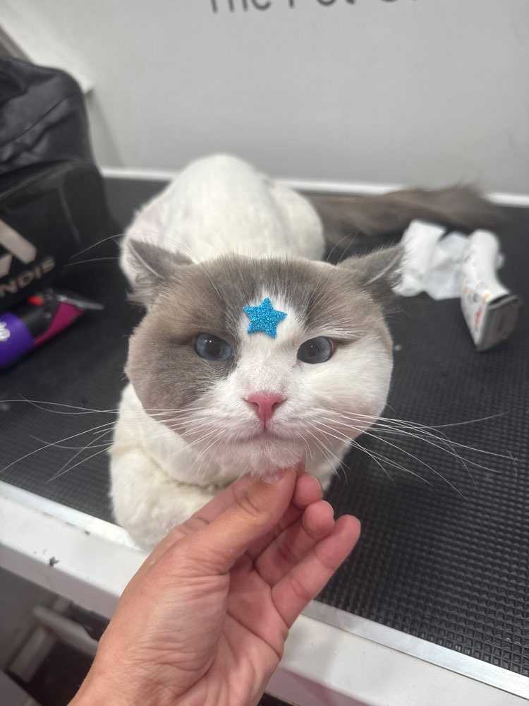 LUNA