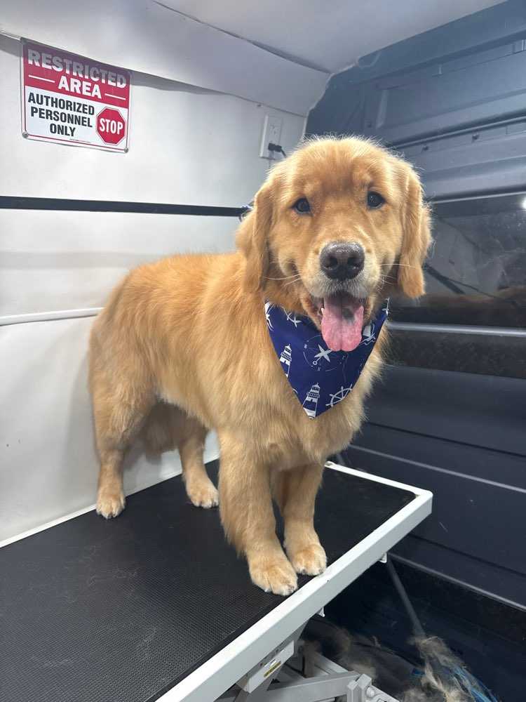 Finn