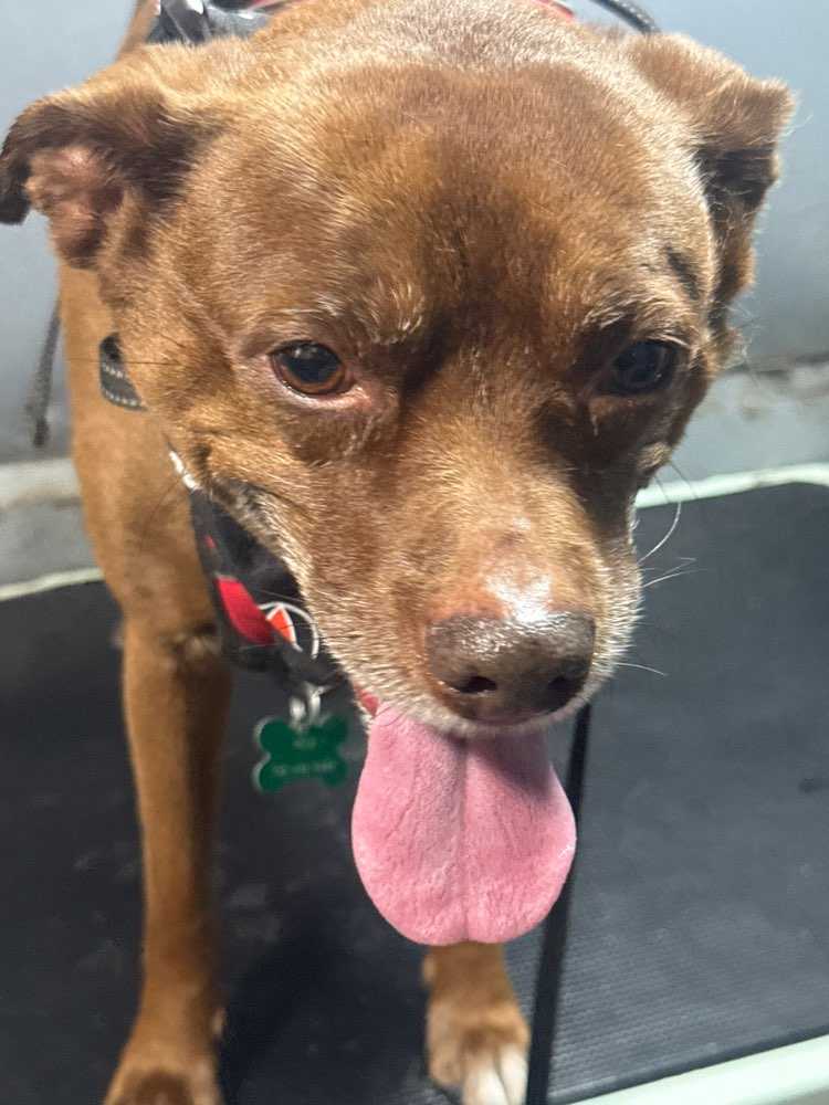 Arlo