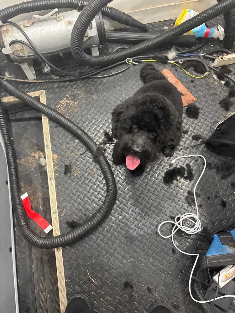 Coco