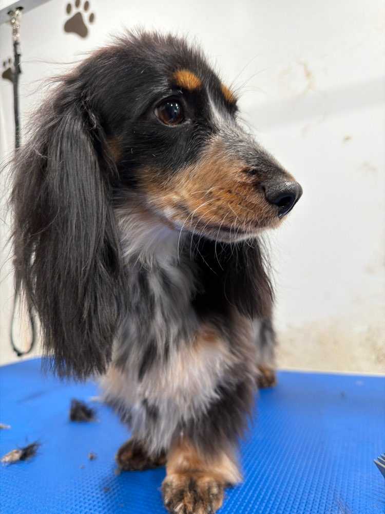Maggie