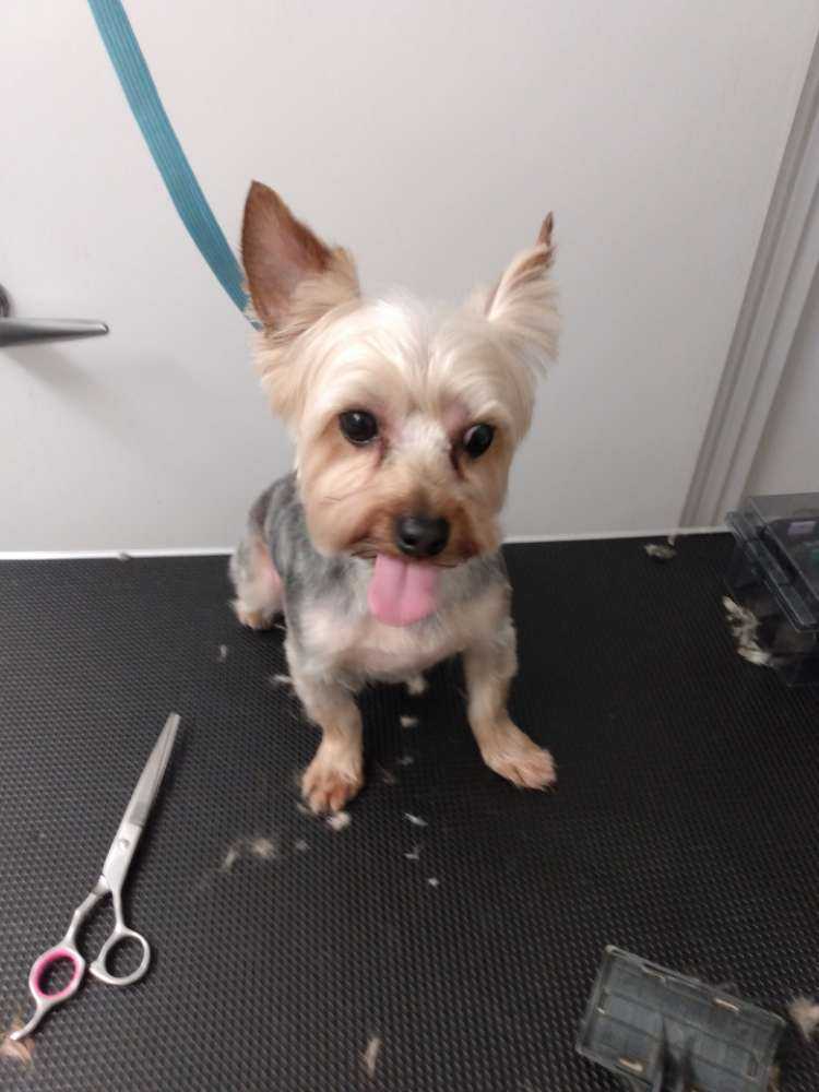 Max