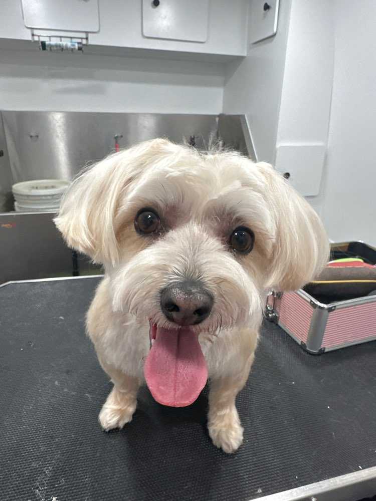Oliver