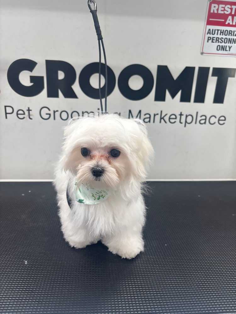 Chewy