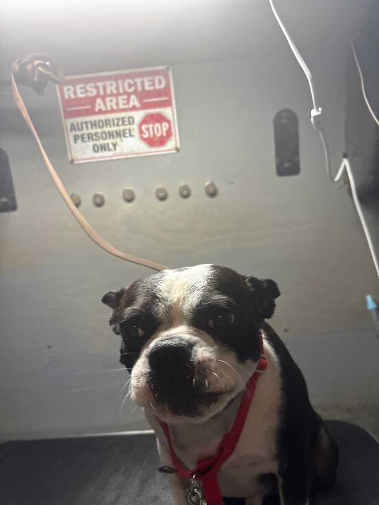 Marshall