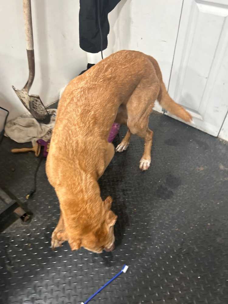 Jax