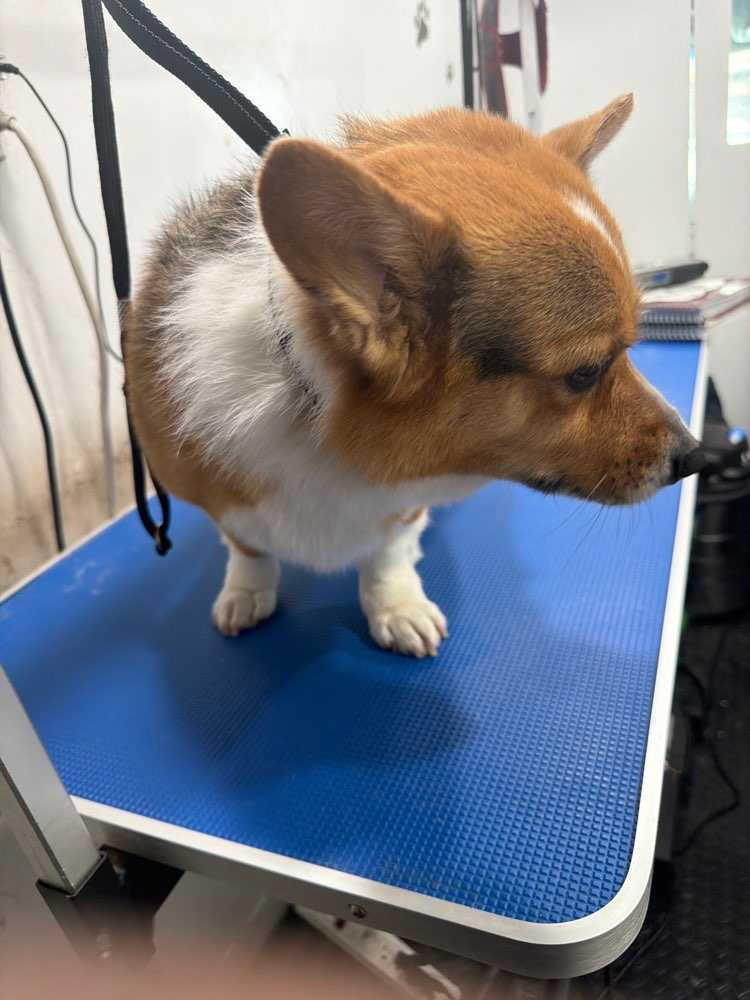 Oliver