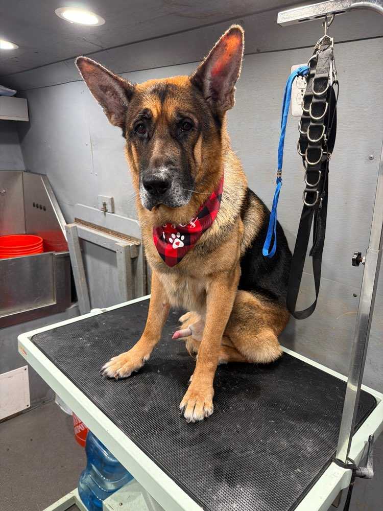 Max