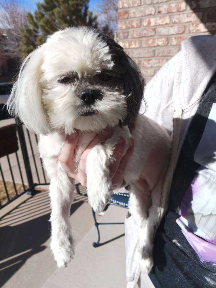 Bella