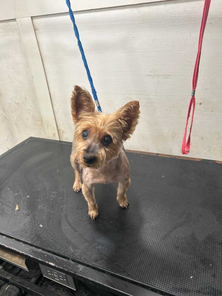 Mimi
