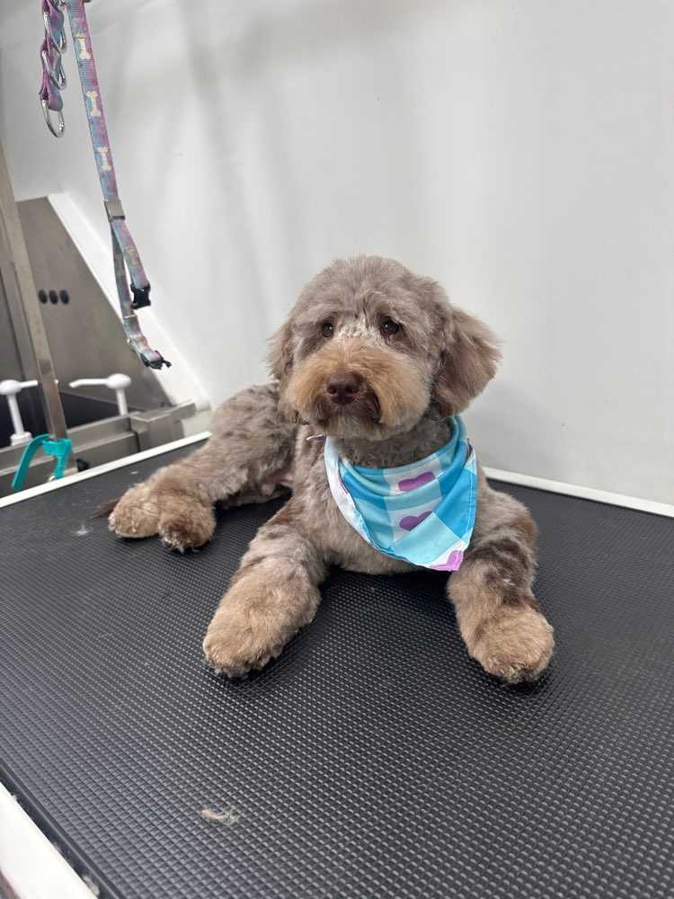 winston
