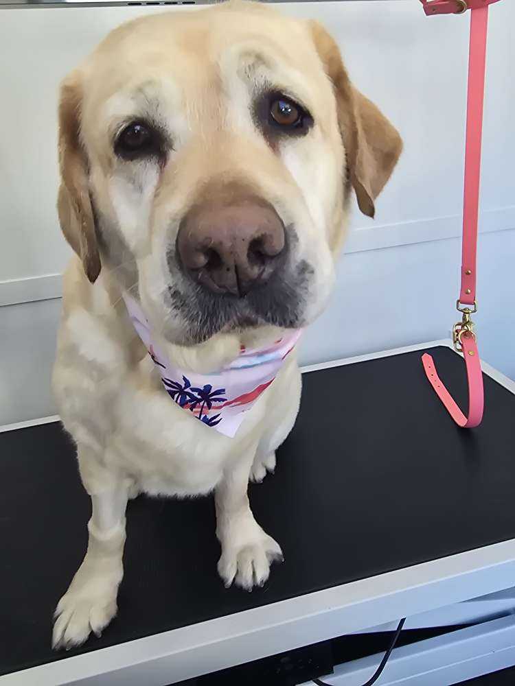 Tilly