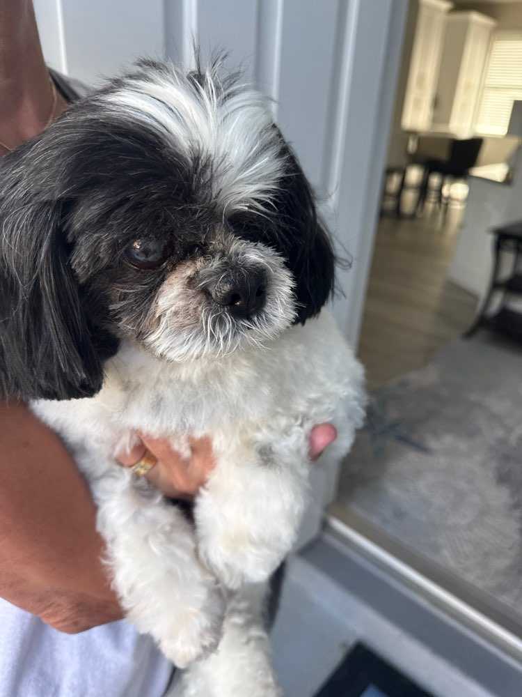 Baxter