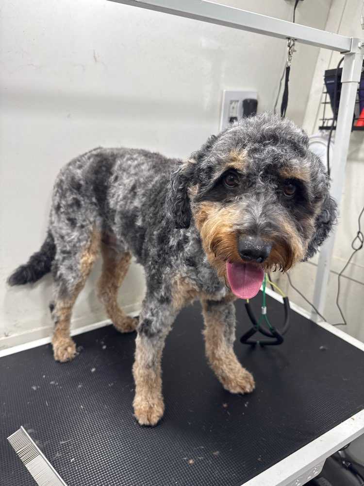 Murphy