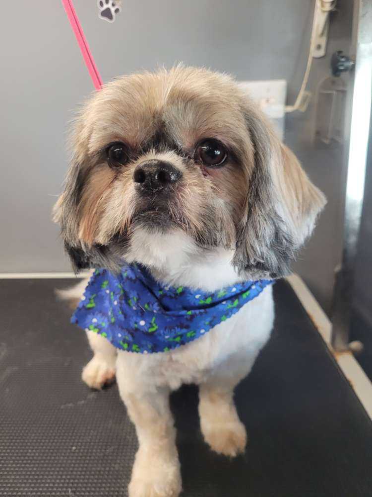 Bailey