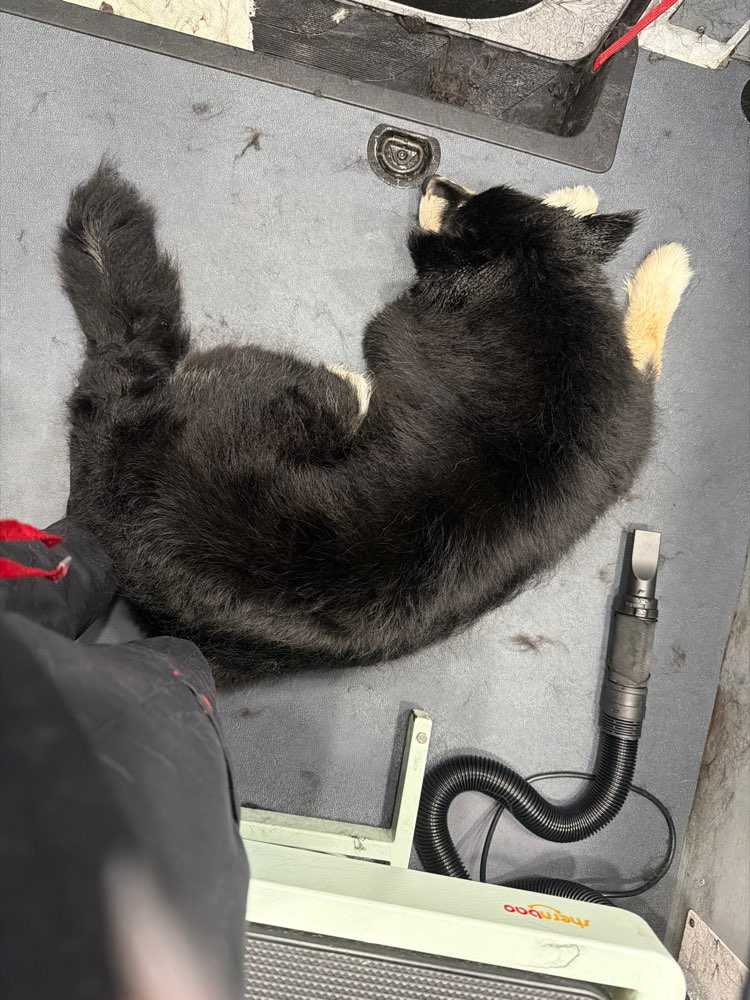 Milo