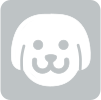 Dog Pet Photo
