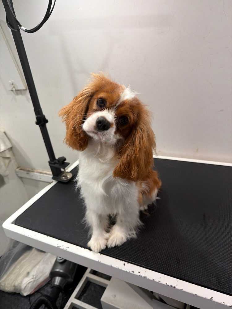 Jax