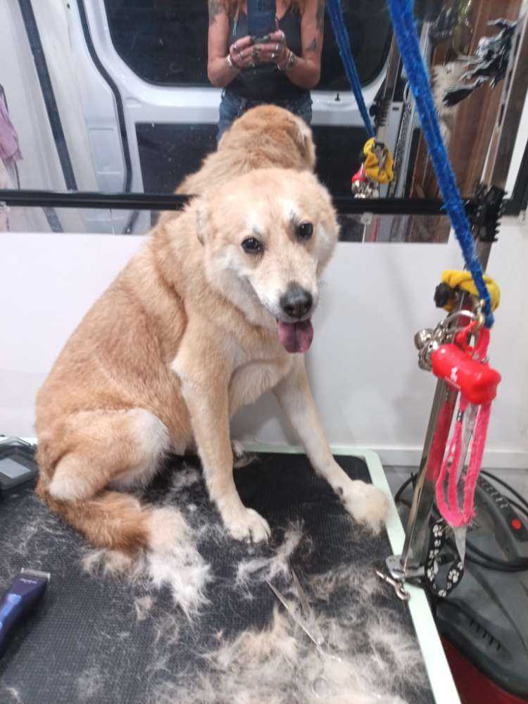Sam
