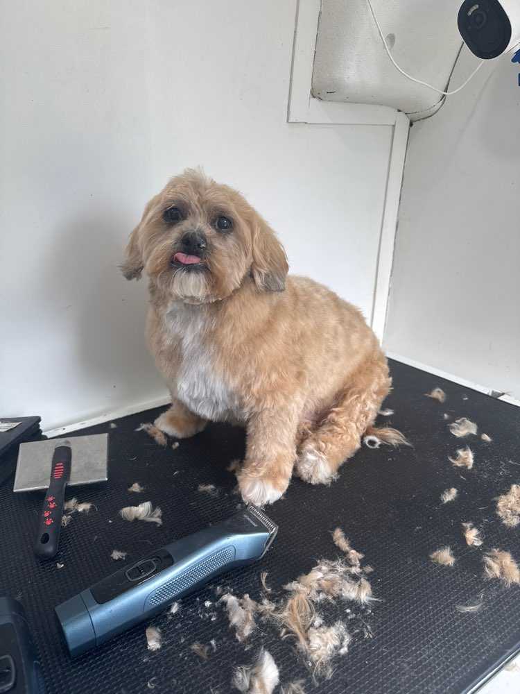 Charlie