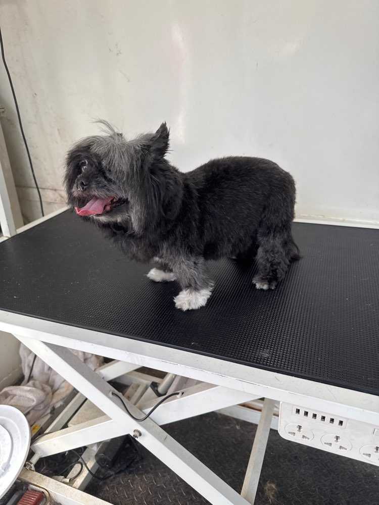 Coco