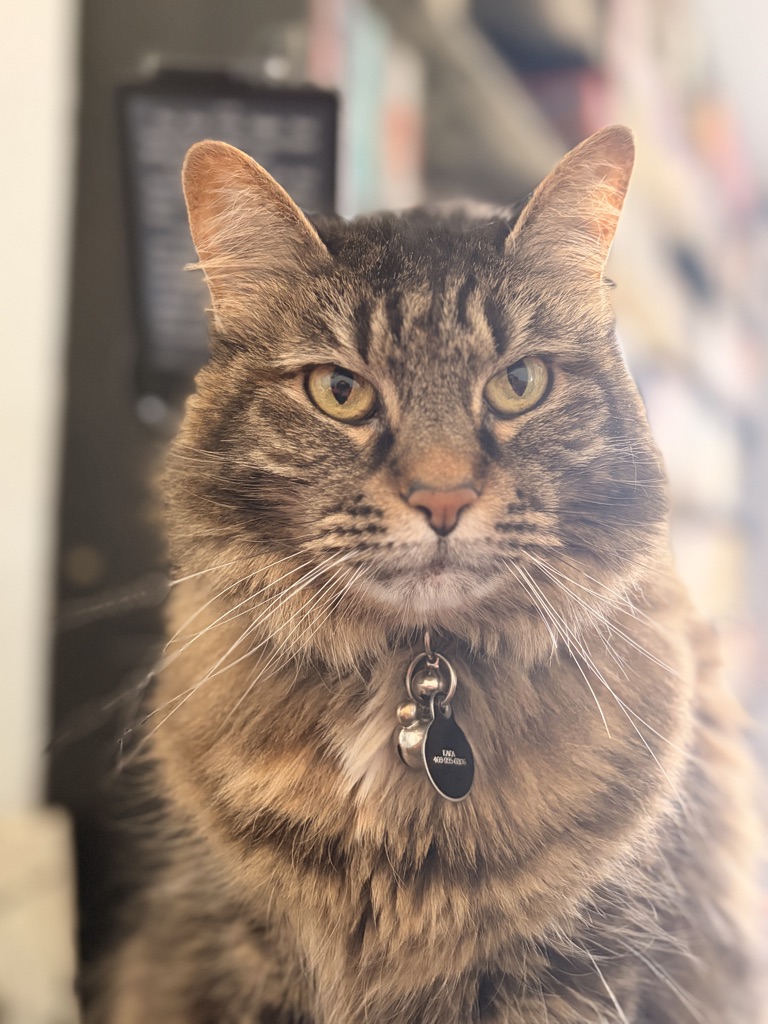 Cappie