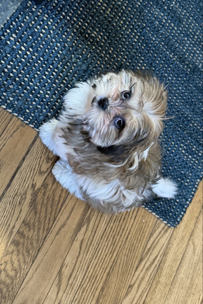 Bailey