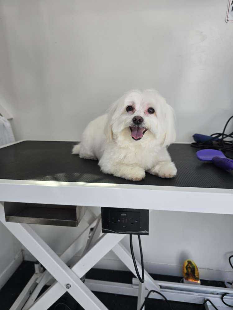 Coco