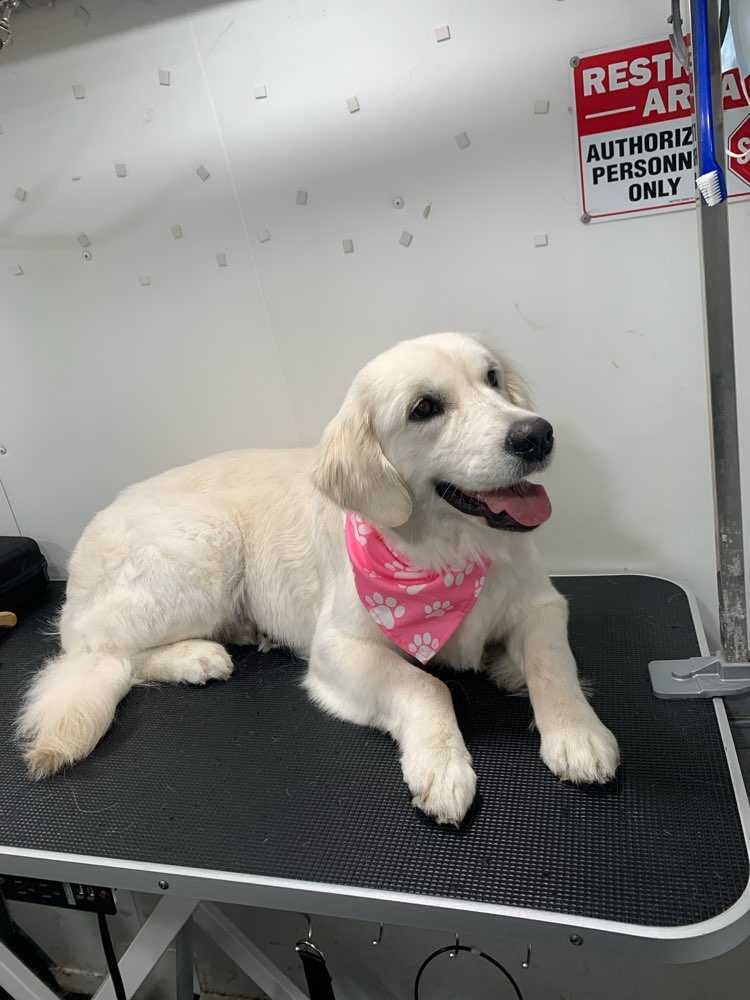 Betty