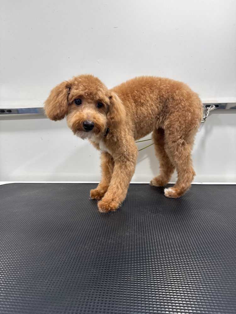 Winnie