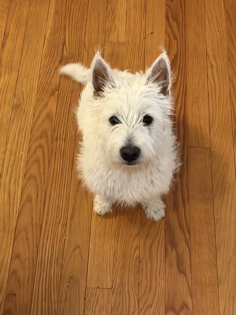 Alfie