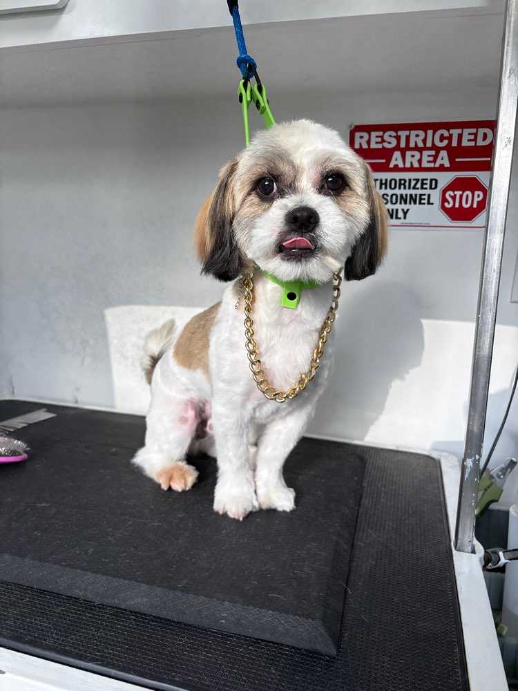 Peanut