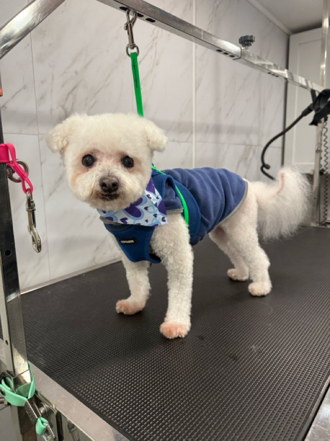 Milo