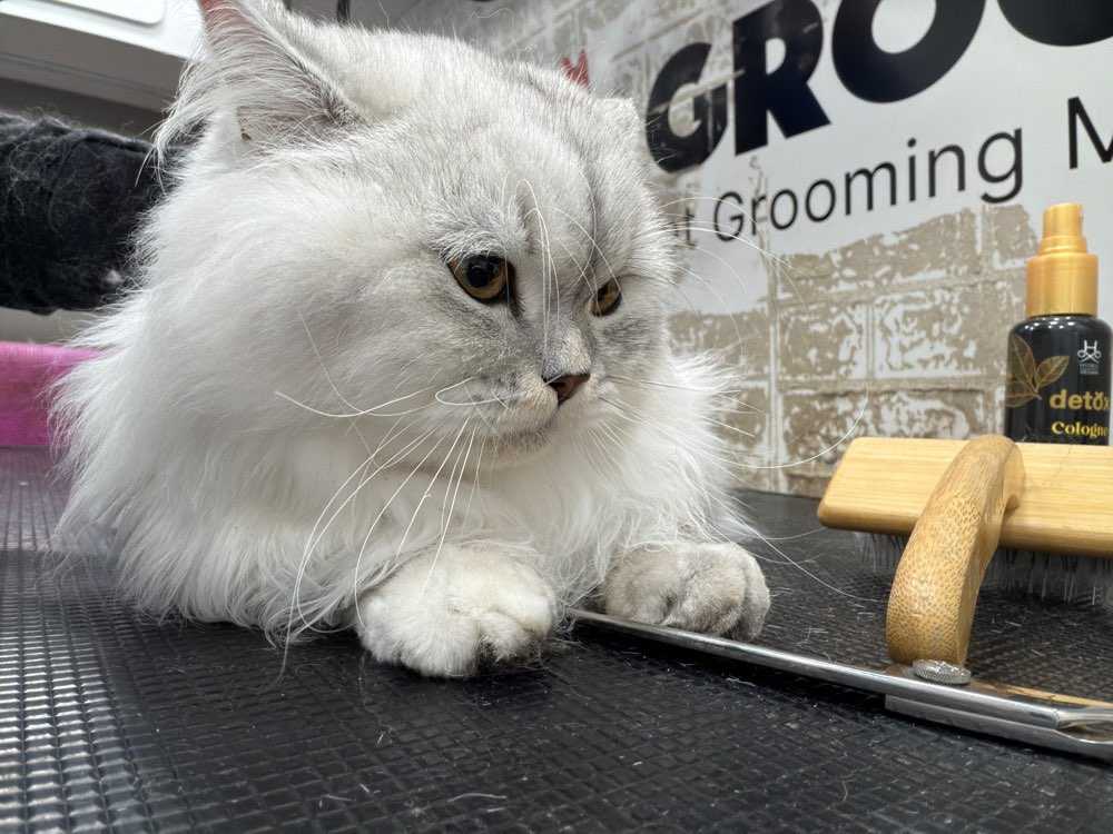Snowball