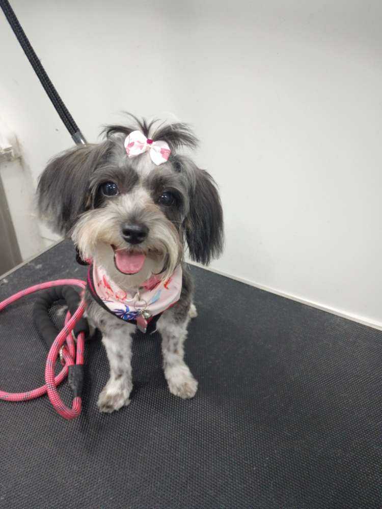 Winnie