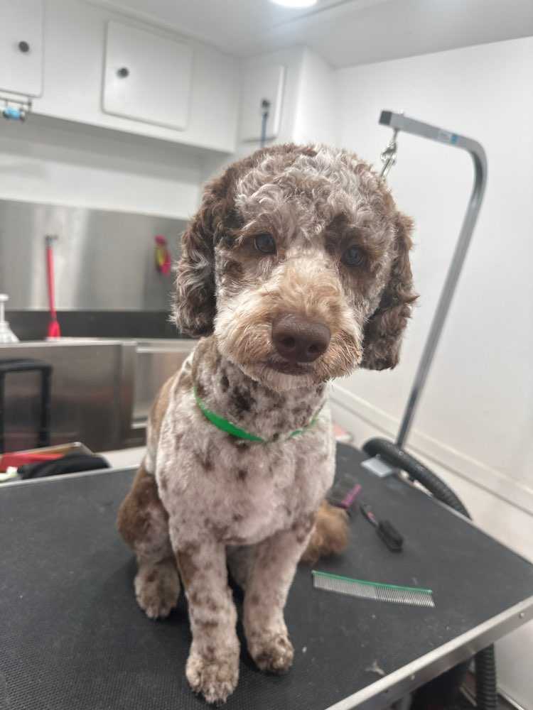 Kona