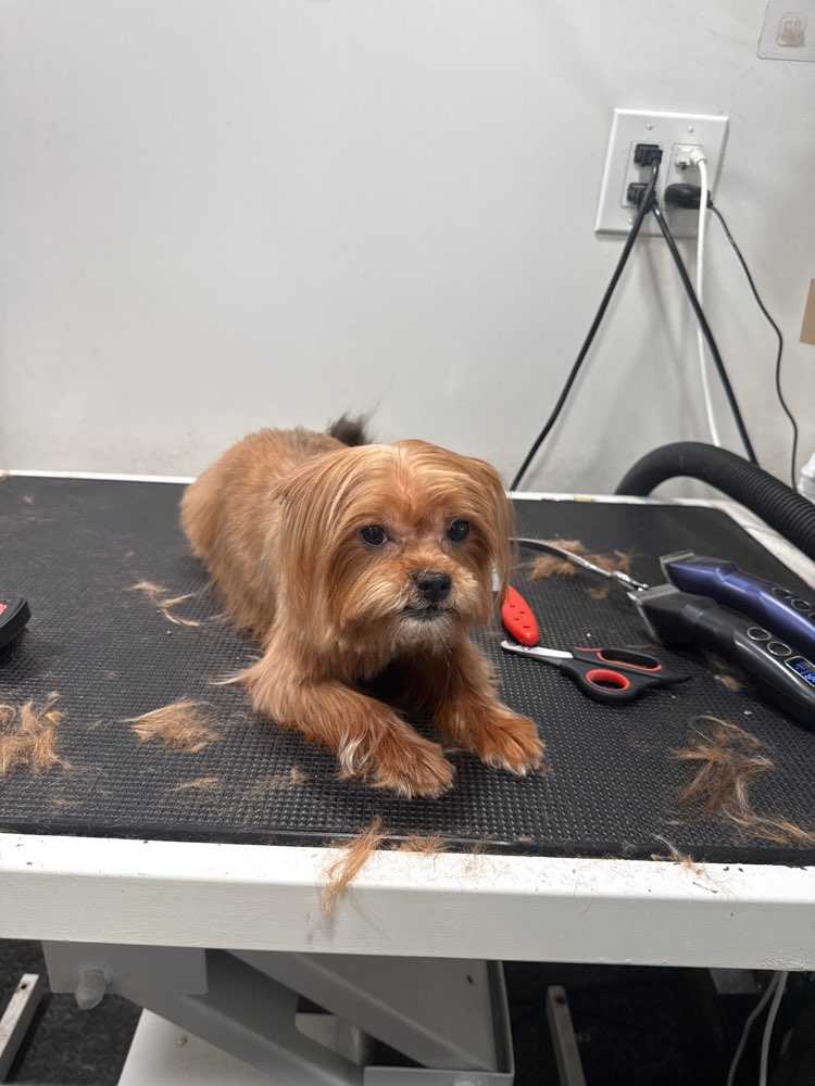 Mia