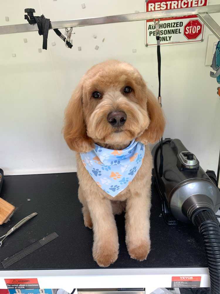 Milo