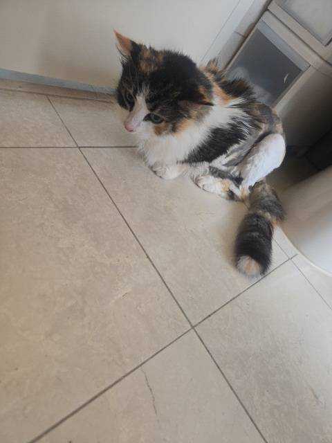 Betty