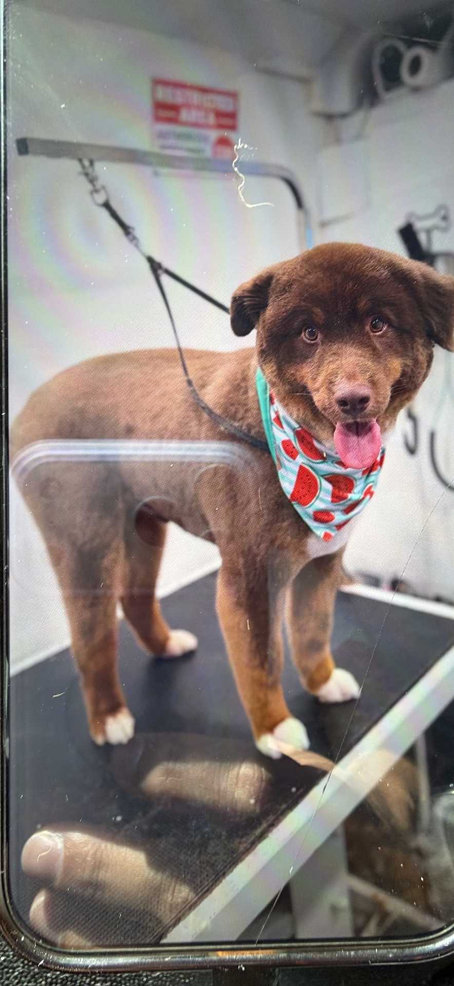 Murph