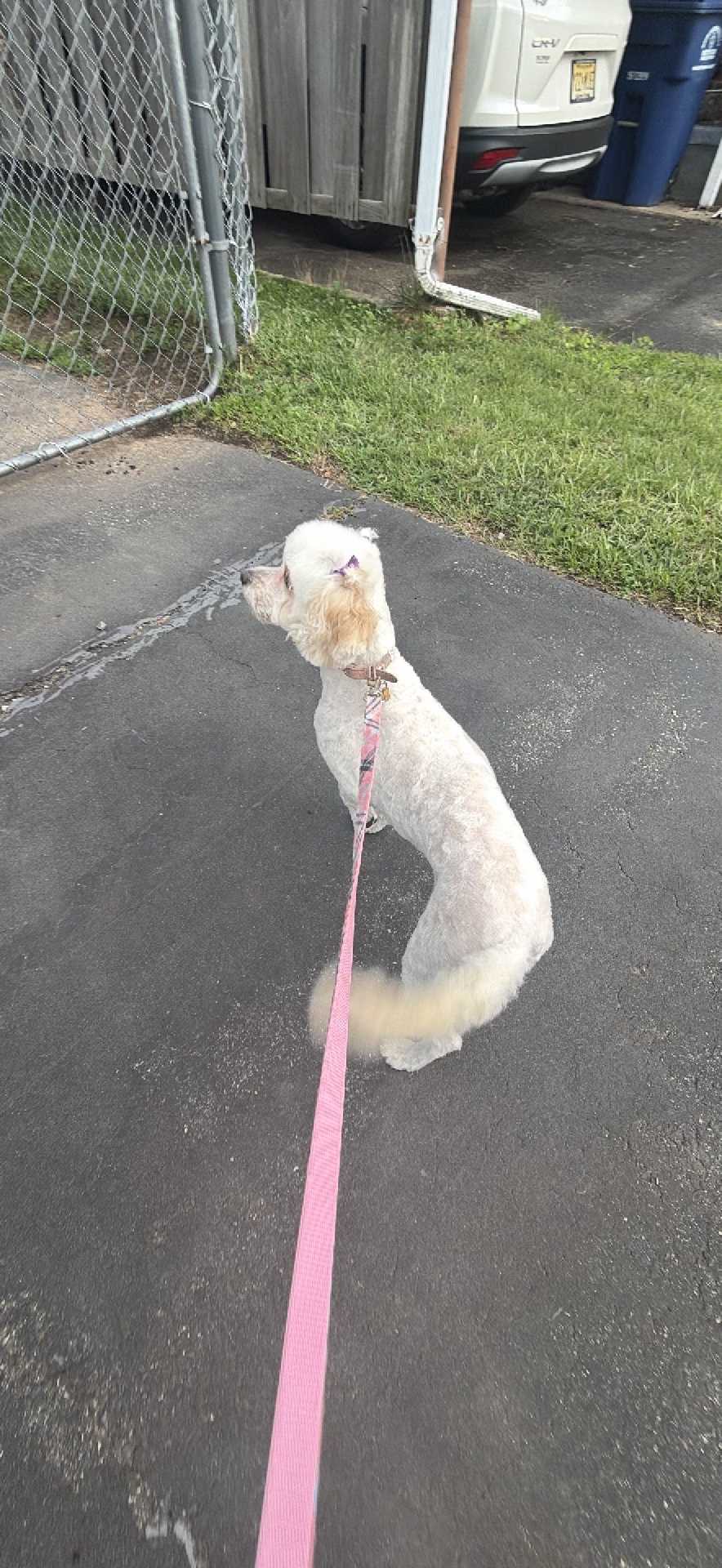 Roxy