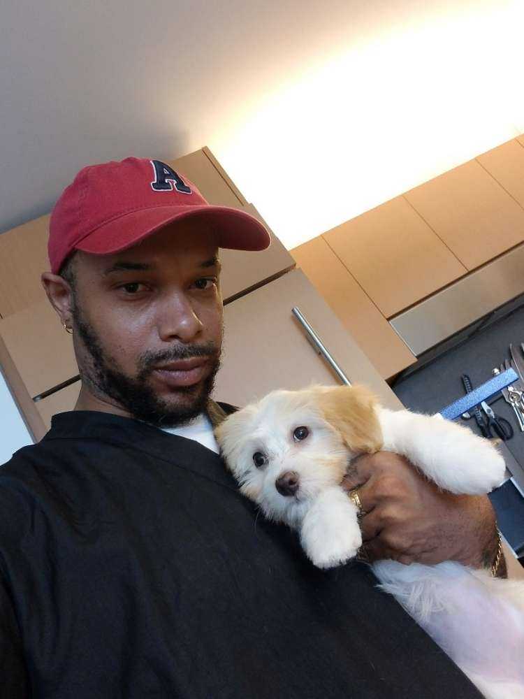 Pet