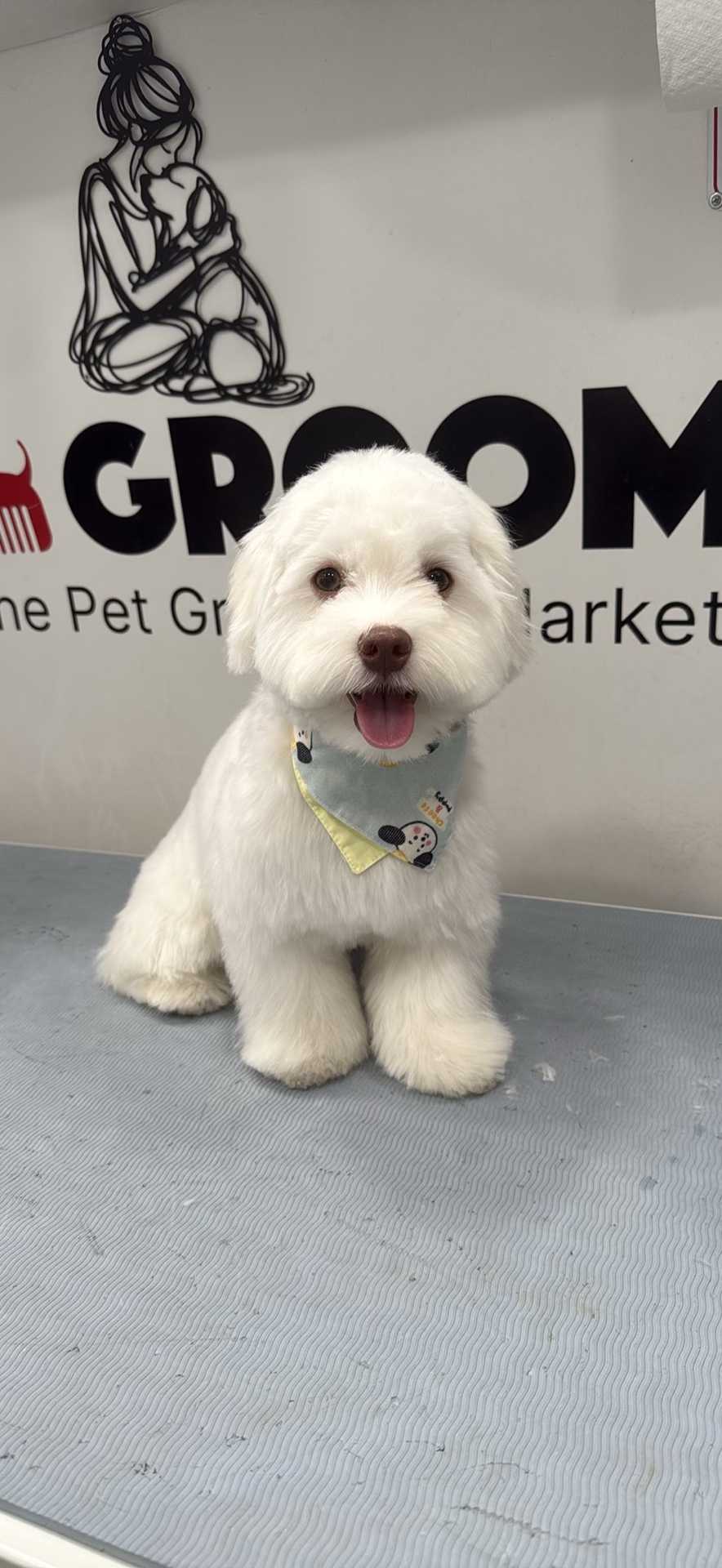 Pet