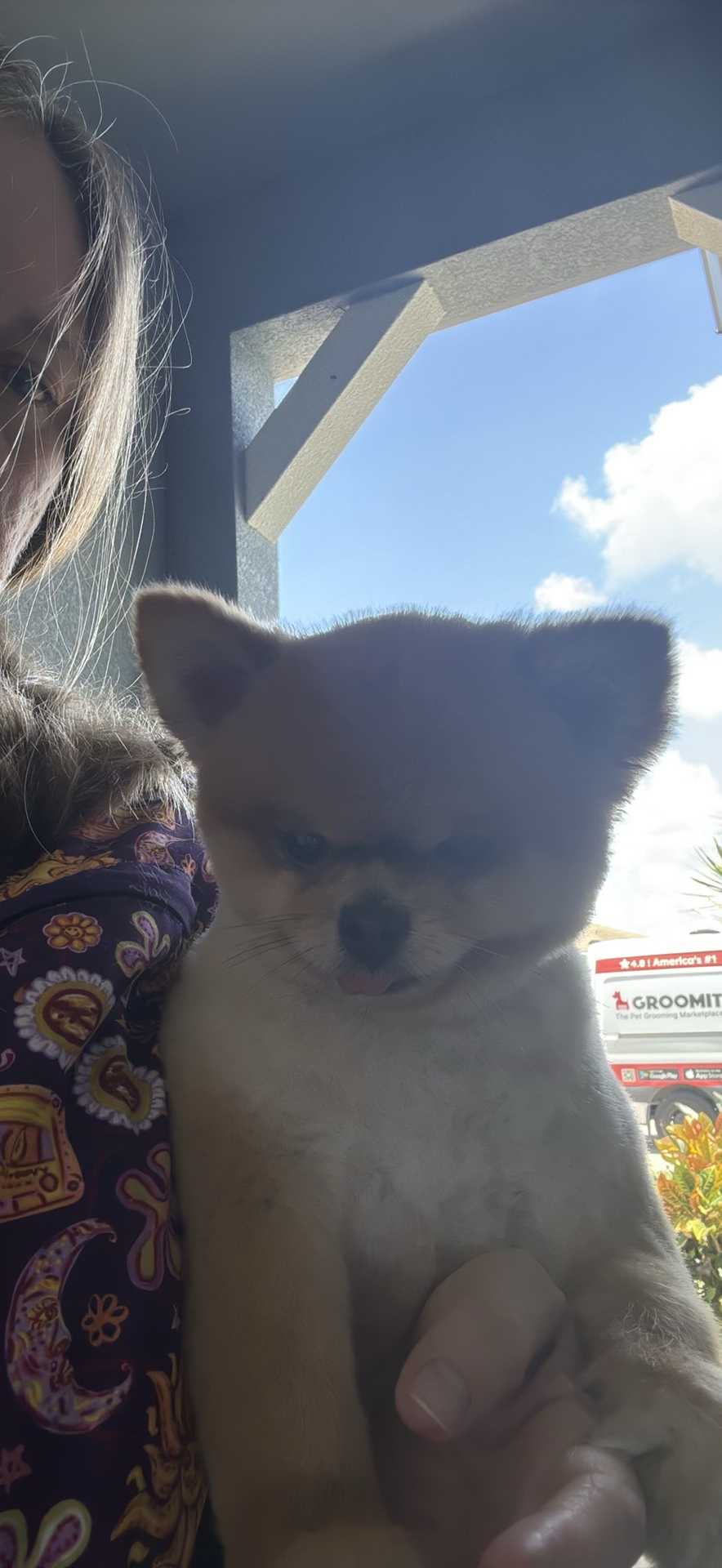 Pet