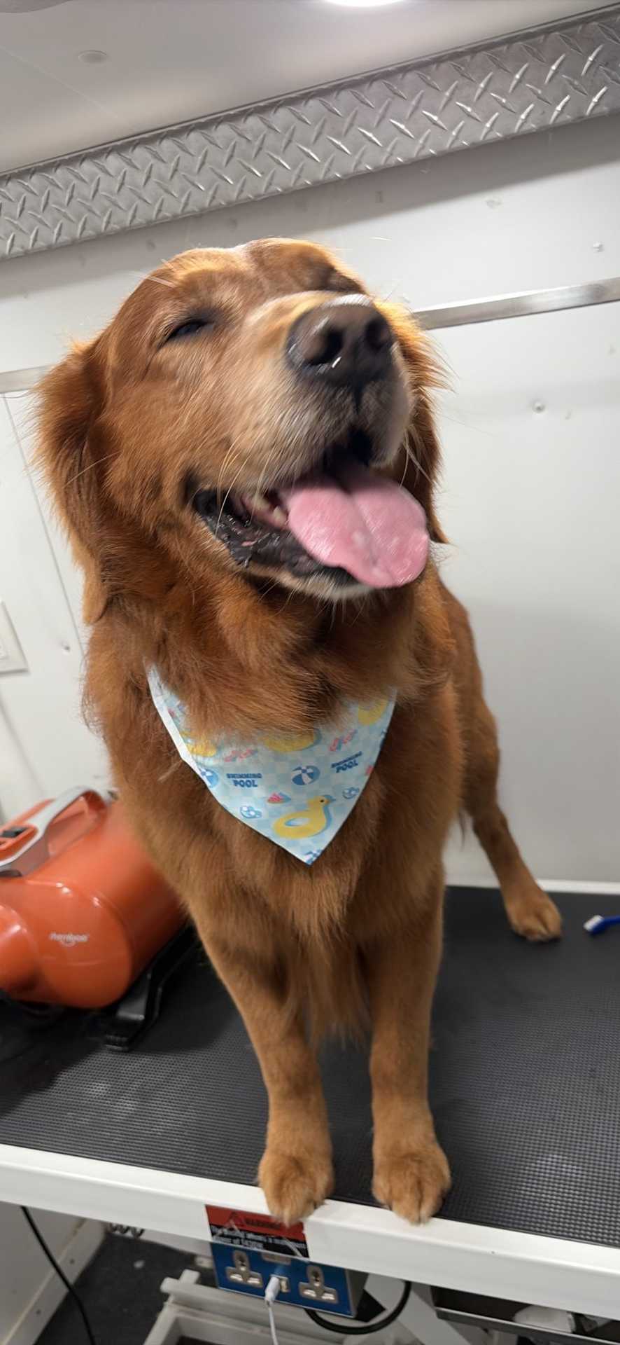 Tucker