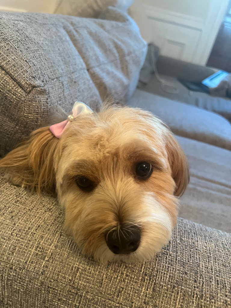 Rosie