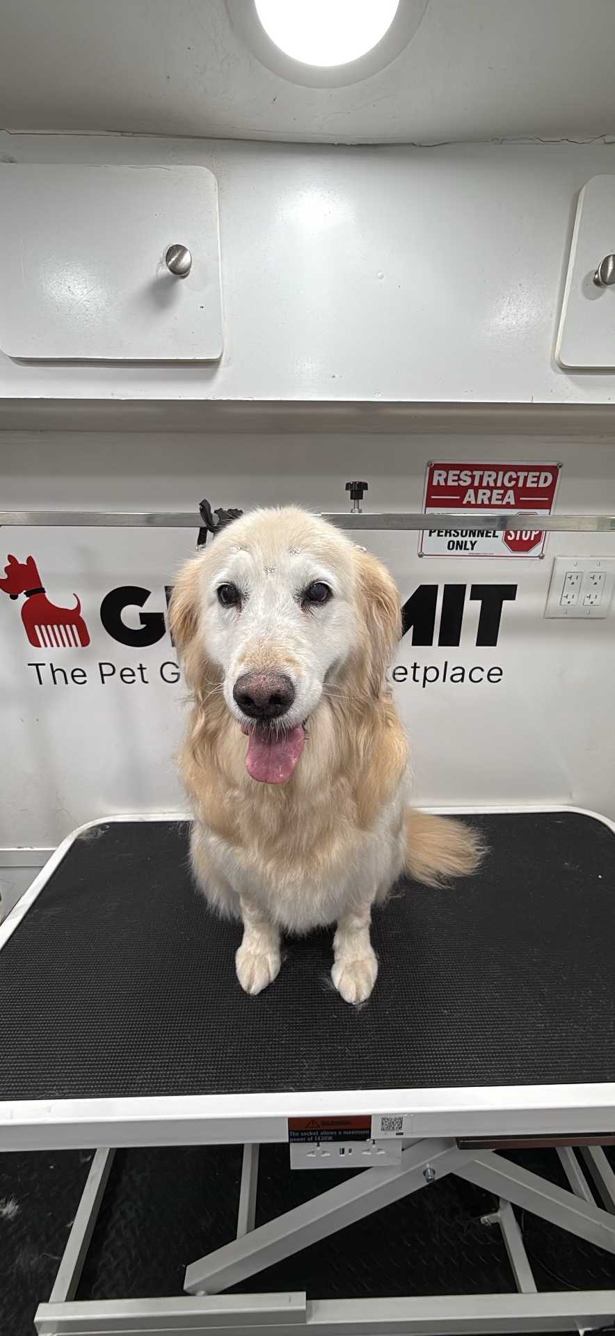 Pet